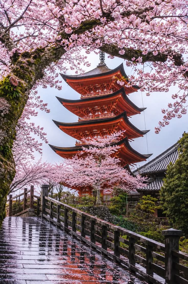 Japón en Época de Momiji