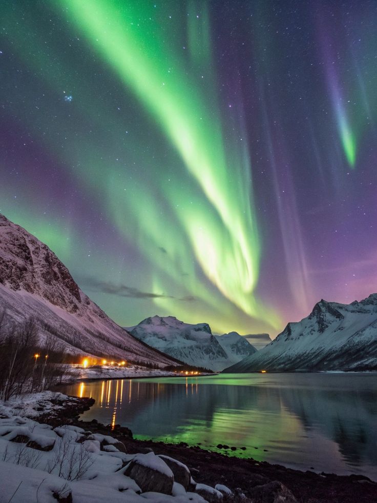 Auroras Boreales y Mercados Navideños
