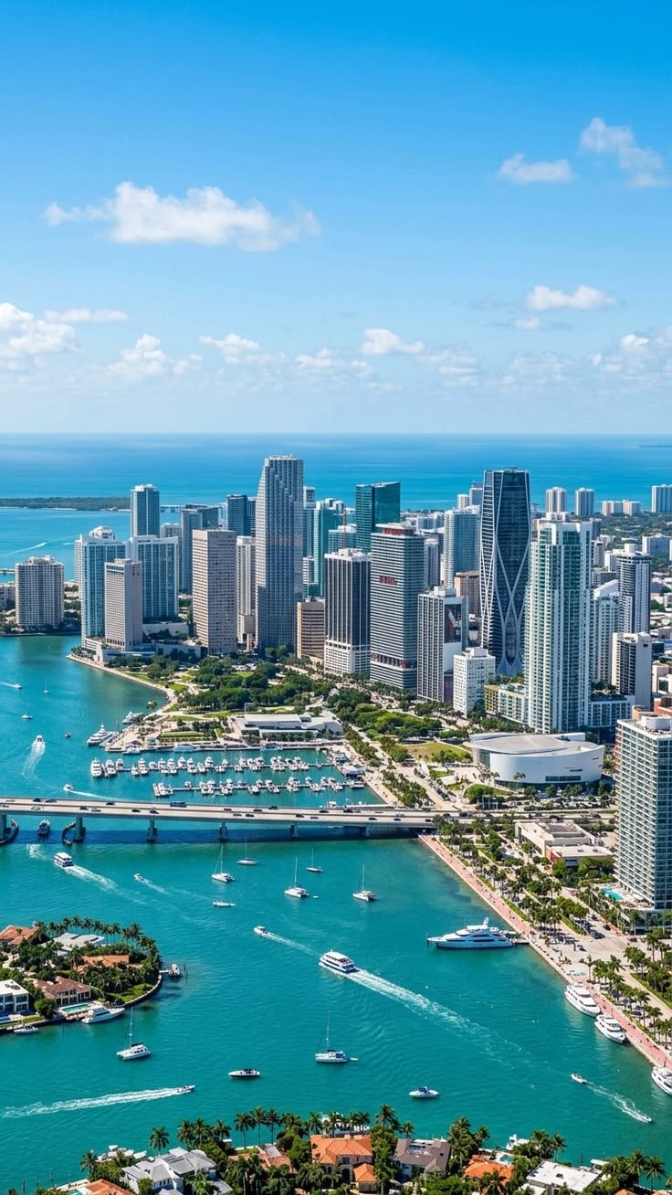 Miami Playa y Compras · Edición Black Friday