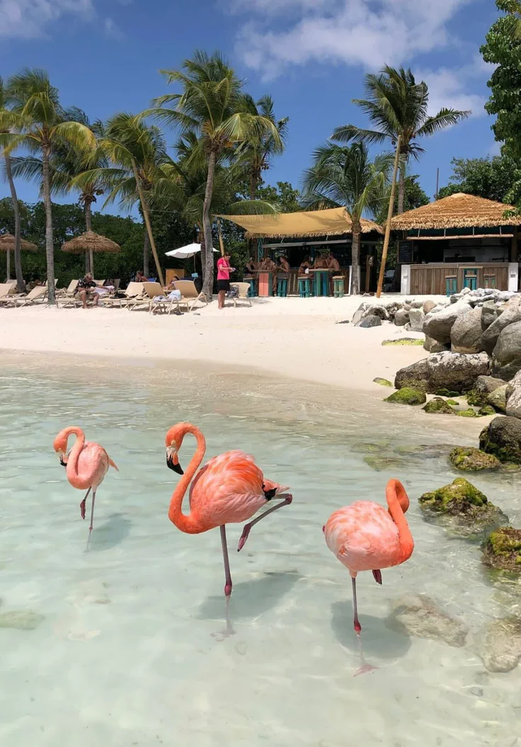 Aruba