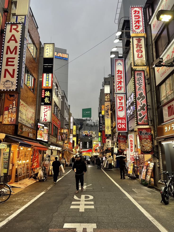 Japón Esencial